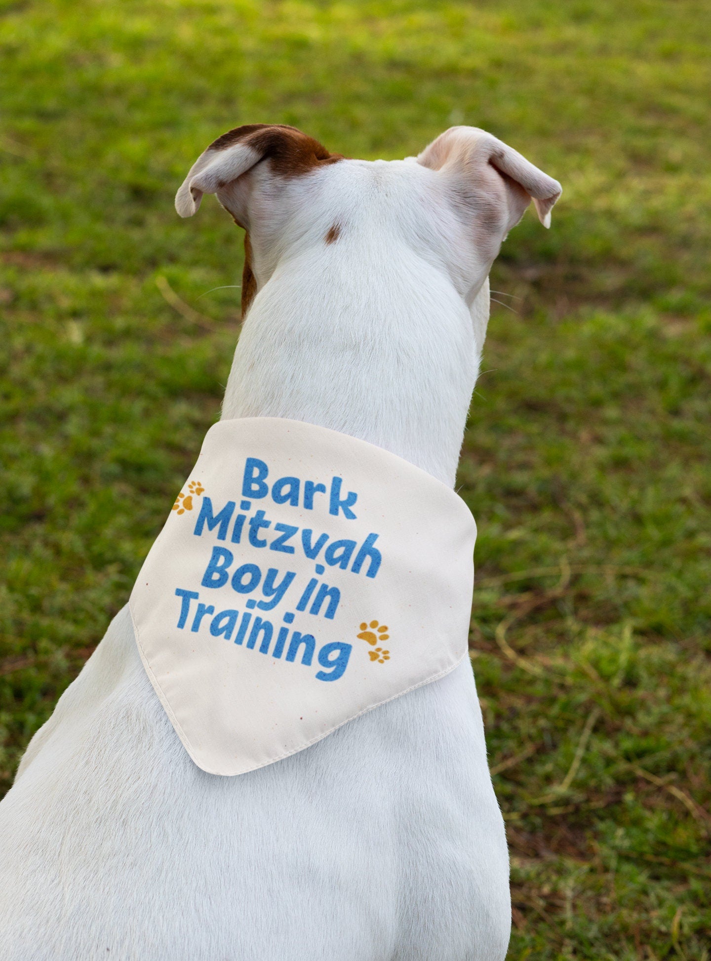 Paw-some Bark Mitzvah Boy Pet Bandana Collar - Jewish Gift, Chanukah Pet Accessory, Festive Jewish Pet Collar,