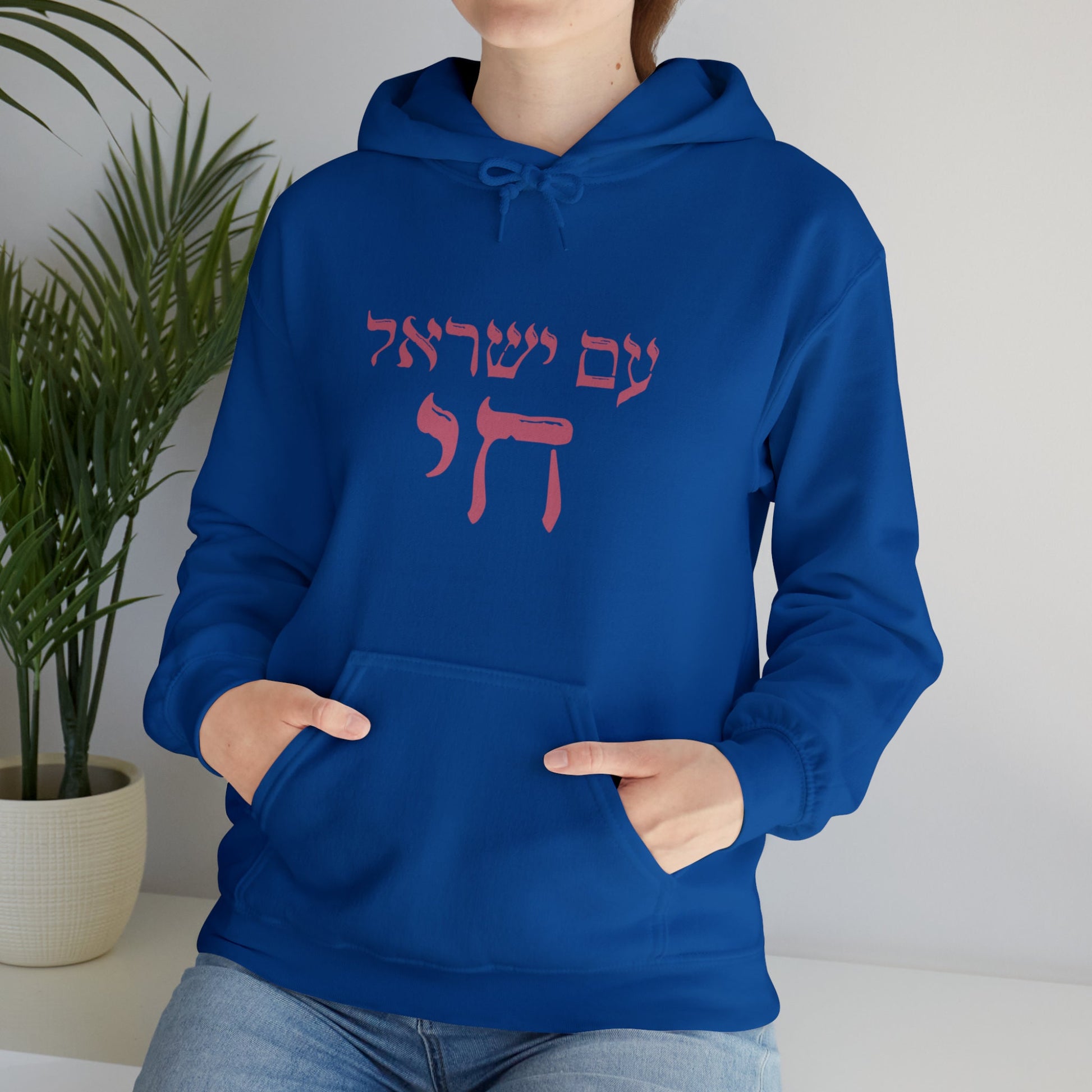 Am Yisrael Chai Sweatshirt, proceeds Support Israel Charities, Chanukah gift, Am Yisrael Chai Sweatshirt , Cozy Jewish Gift, Israel