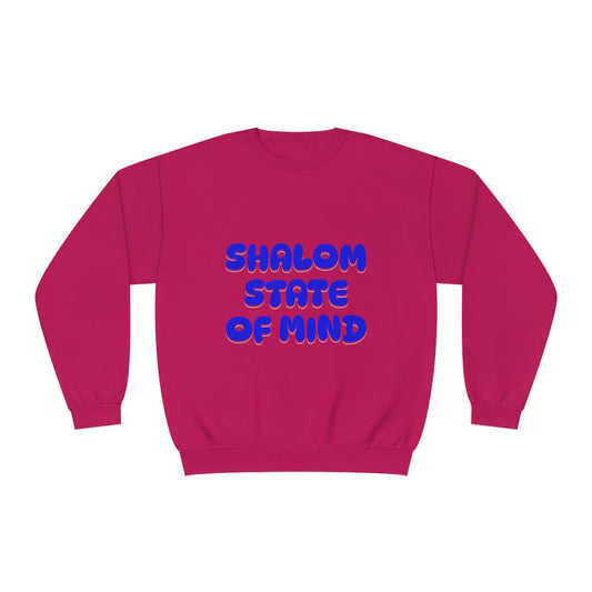 Shalom State of Mind Sweatshirt, Shalom, sweatshirt, cozy, Jewish gift, Judaica sweatshirt, Israel