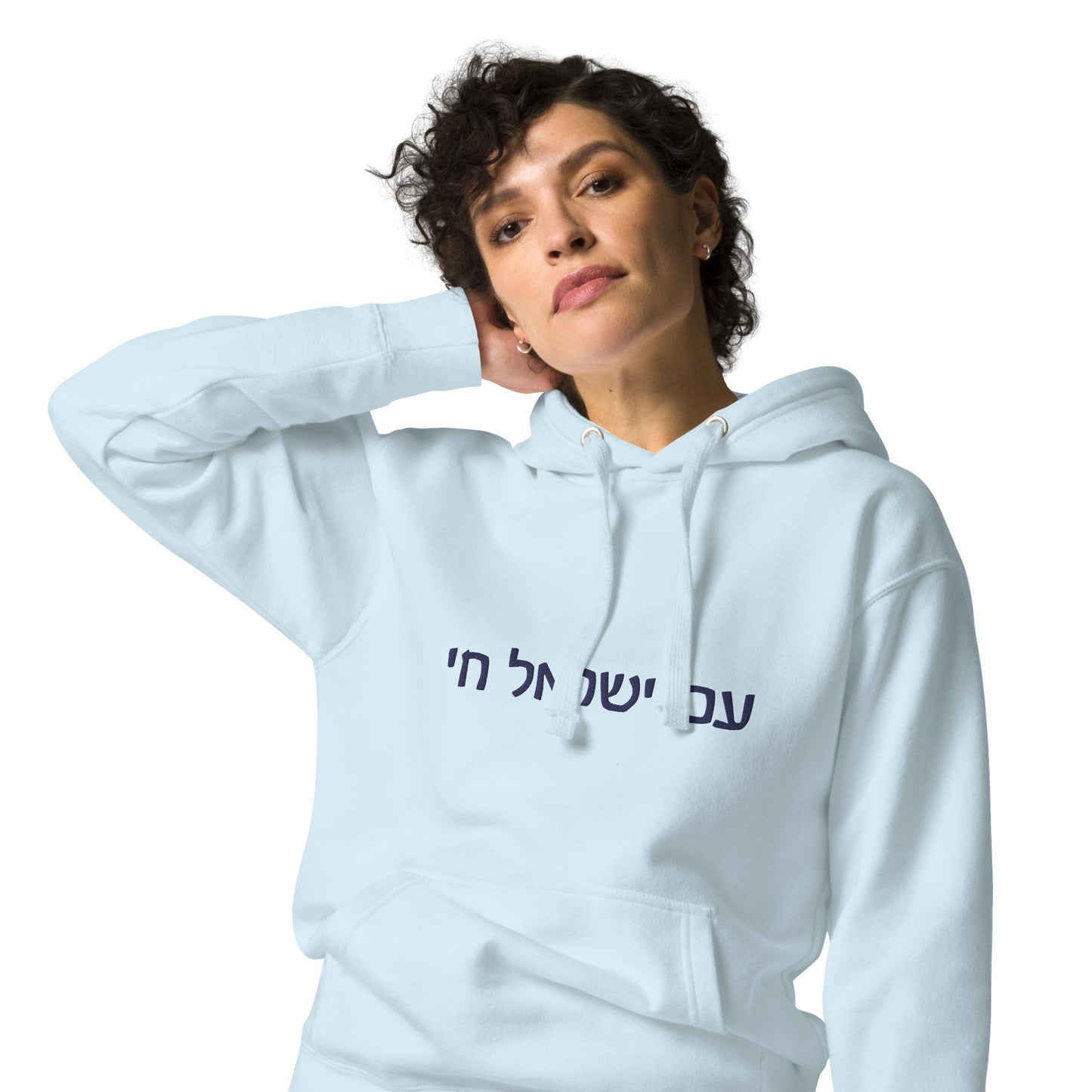 Embroidered Am Yisrael Chai Hoodie, Jewish Pride, Israel Support, Jewish gift, Judaica, Hebrew sweatshirt