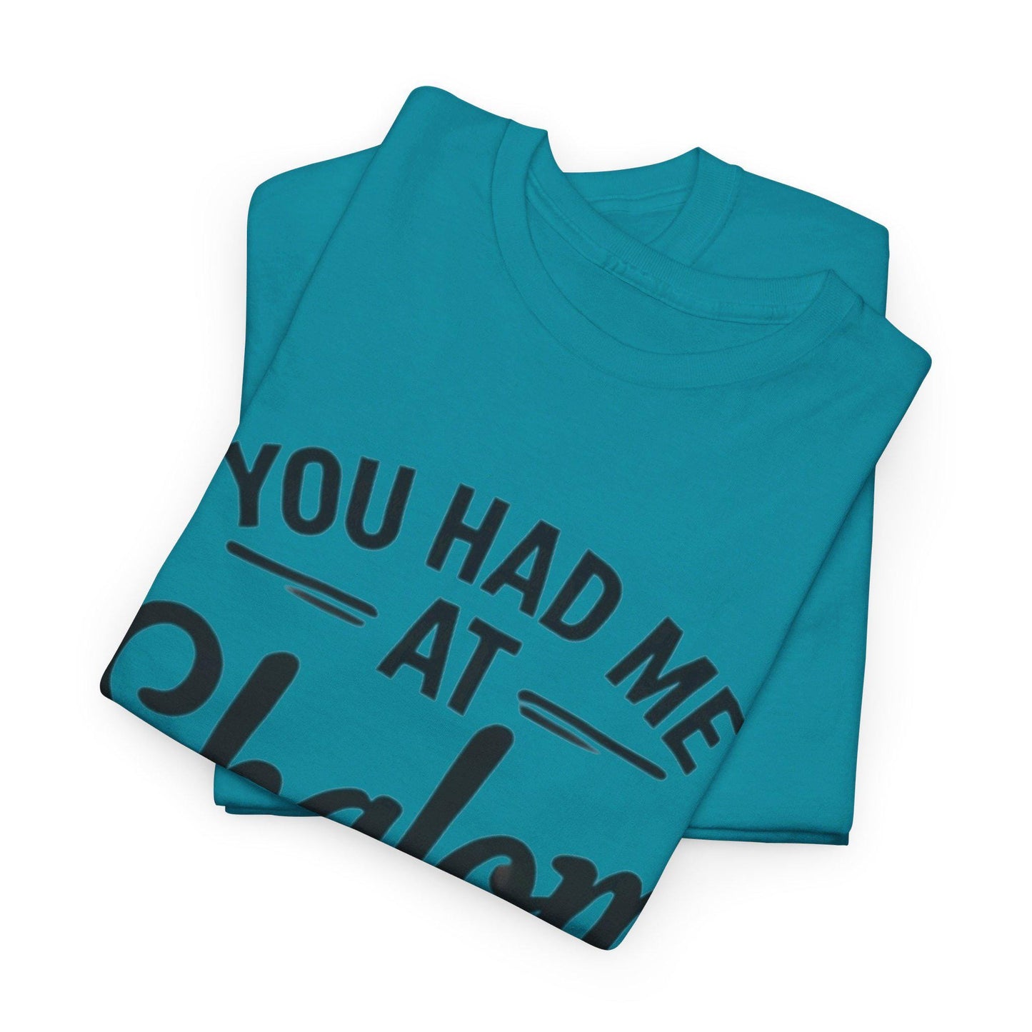 You Had Me at Shalom" Funny Jewish T-Shirt