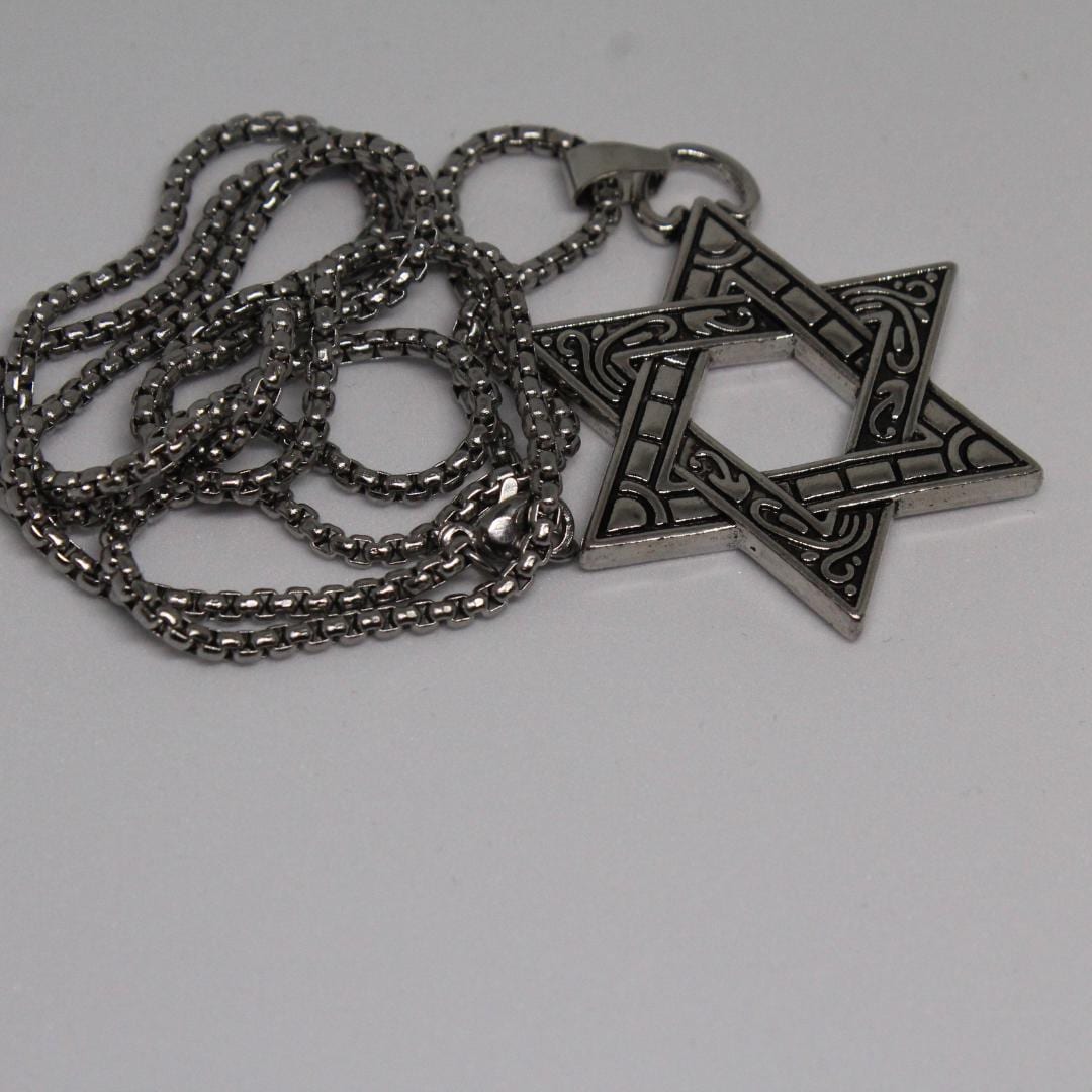 Stainless Steel Star of David Necklace, Jewish man necklace- ships within 24 hoursships within 24 hours